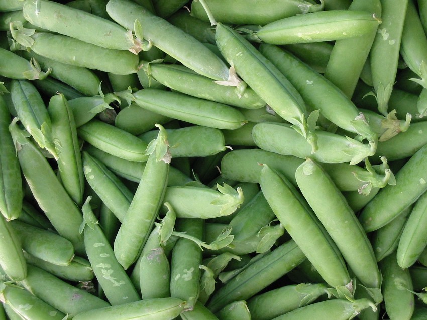 02 kes--n-herkkkua.jpg